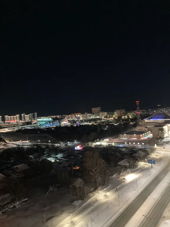 1-комнатная квартира с видом на парк За Саймой и реку Обь