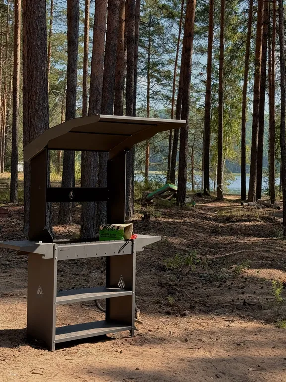 Белый дом и сосны