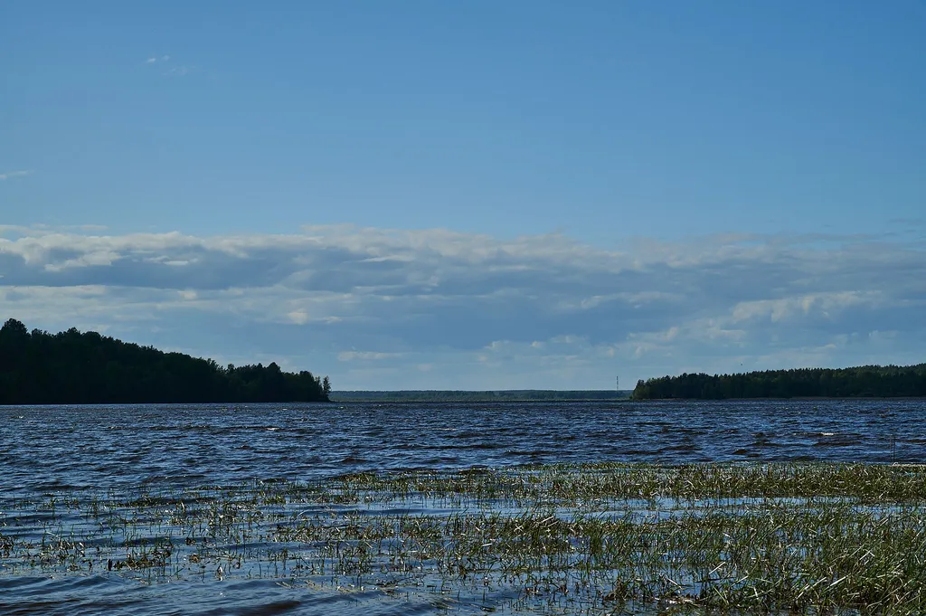 Коттедж Комфортабельный коттедж вблизи трех горнолыжных склонов — Светлое
