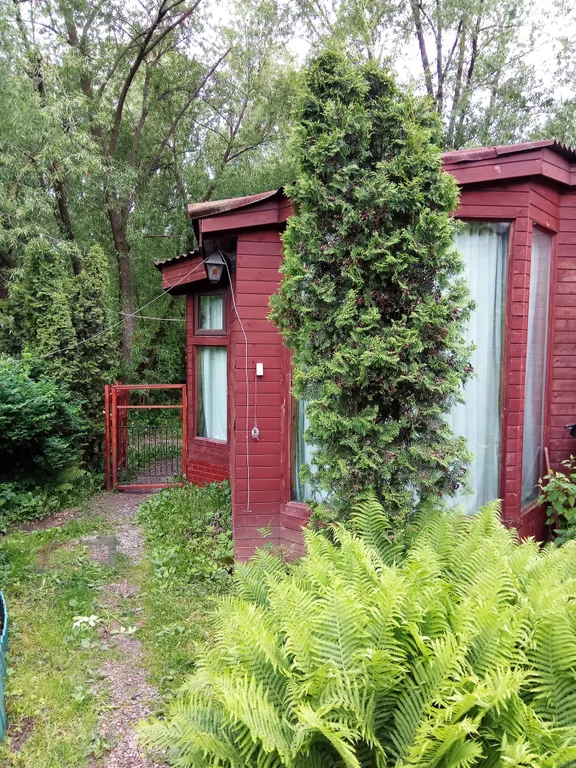 Коттедж Коттедж Зимняя дача в Переделкино с сауной и купелью — Москва