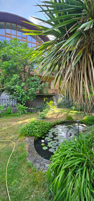 Солнце Ялты