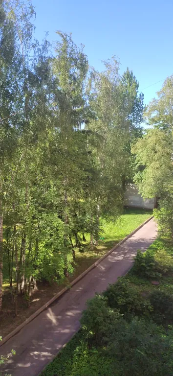 Тихий отдых в зелёном районе, просторная и светлая квартира