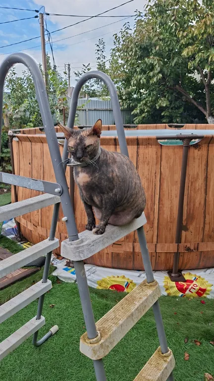 Часть дома (2 этаэ)с отдельным входом.