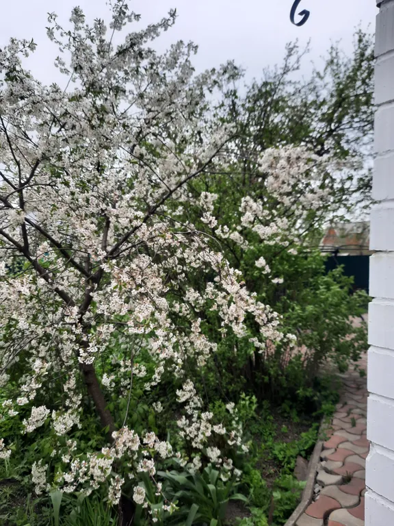 Уютный особняк