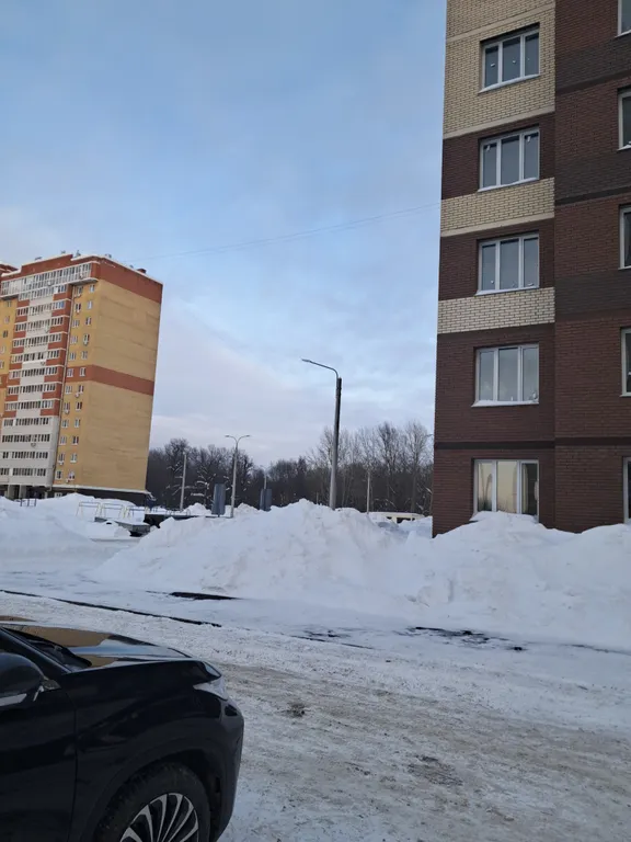 Уютная квартира с видом на лес