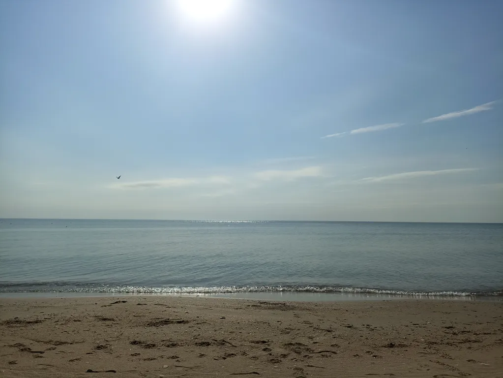 Живой домик