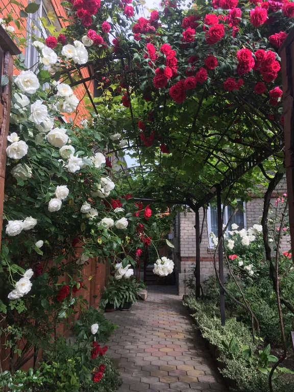 Квартира Квартира Уютный номер с верандой — Анапа