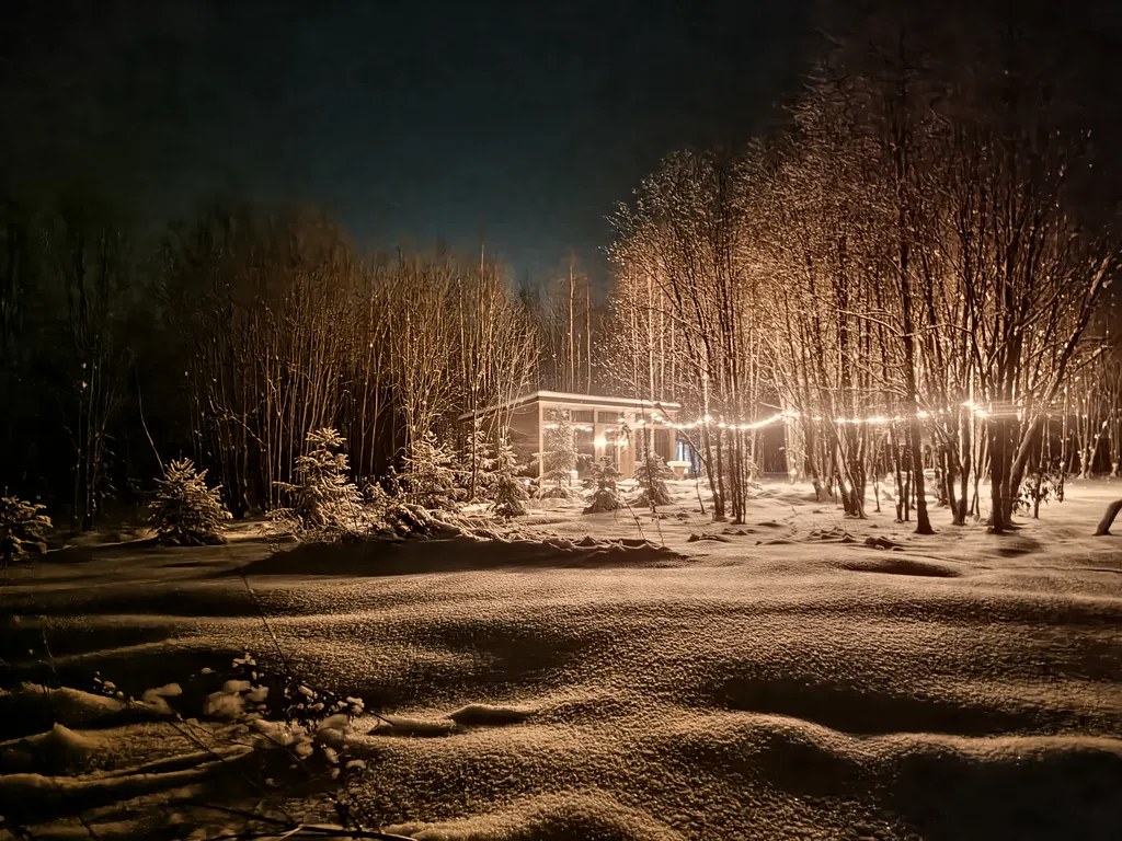 Стеклянный дом в лесу