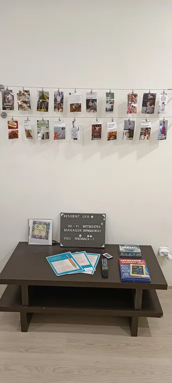 Zebra от Resident Ufa