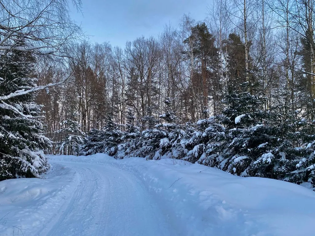Стильный дом в тихой деревне