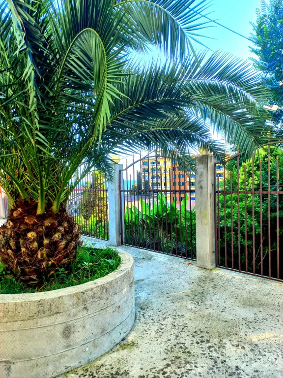 Двухместный стандарт