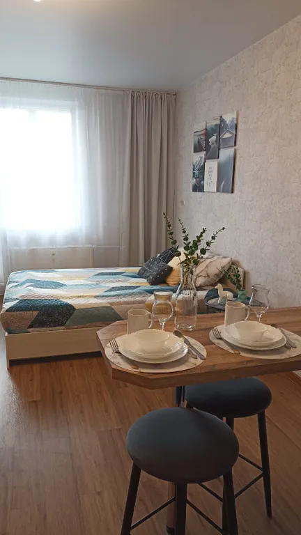 Квартира Просторная студия у метро Девяткино, парка и ТЦ Небо рядом — аренда посуточно в Мурино