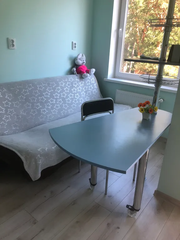 Квартира Квартира Гнёздышко у озера — Светлогорск