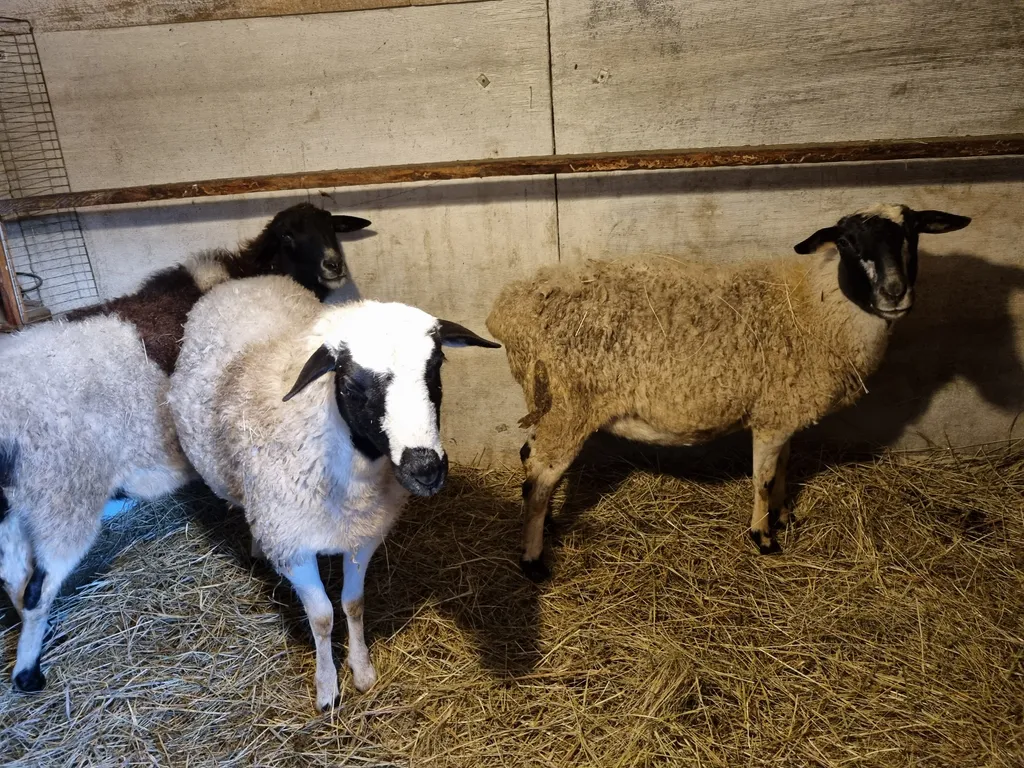 Коттедж Домик в деревне — Соколова