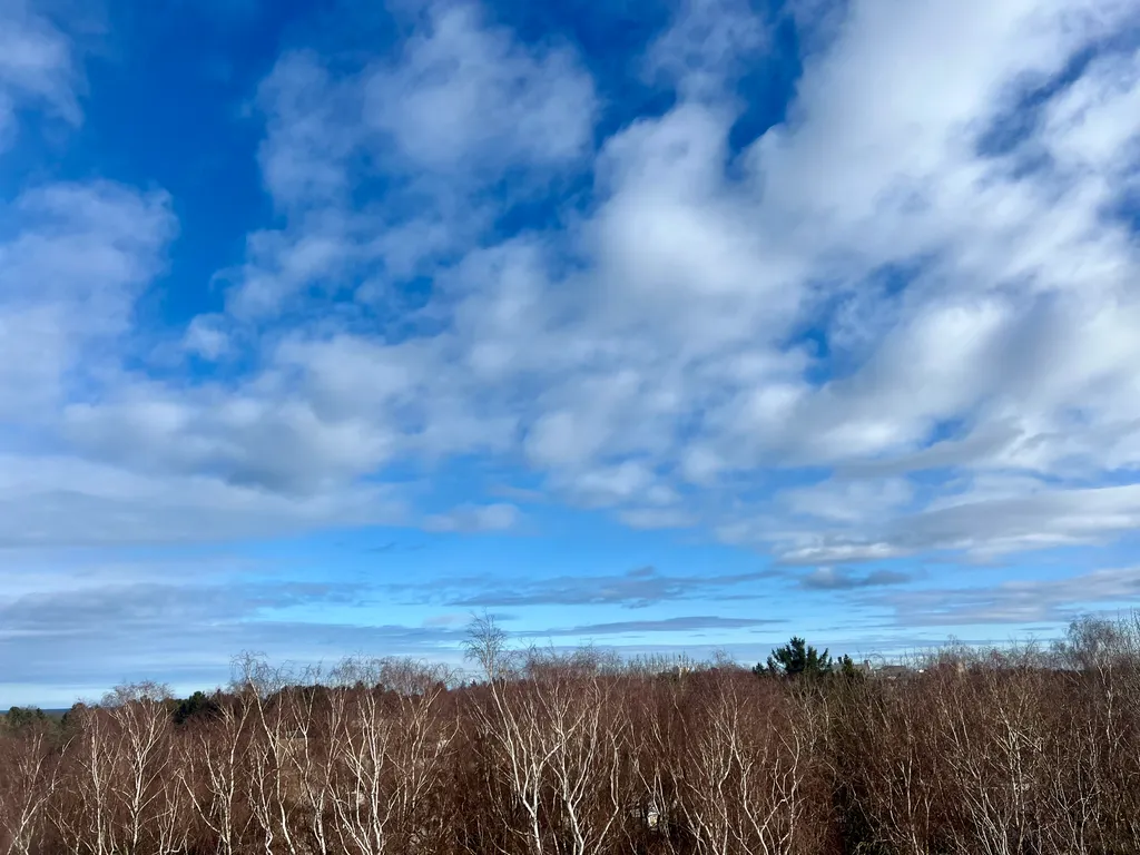 Квартира Квартира Vi&Va Кристалл комфорт — Светлогорск