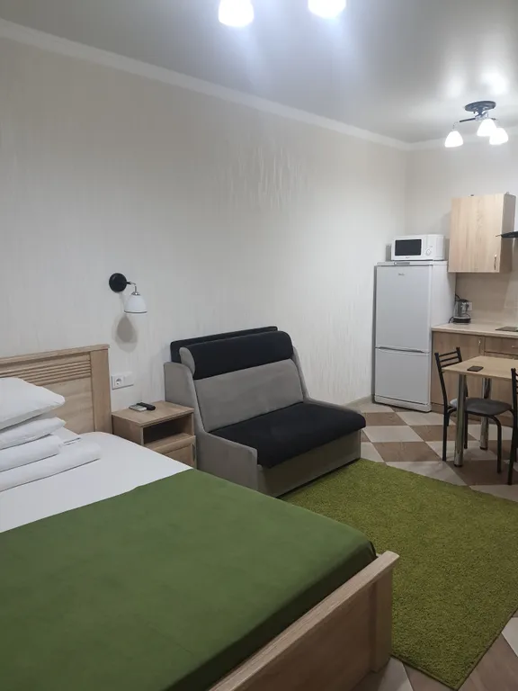 Квартира Квартира Уютная студия вблизи Олимпийского парка — Сириус