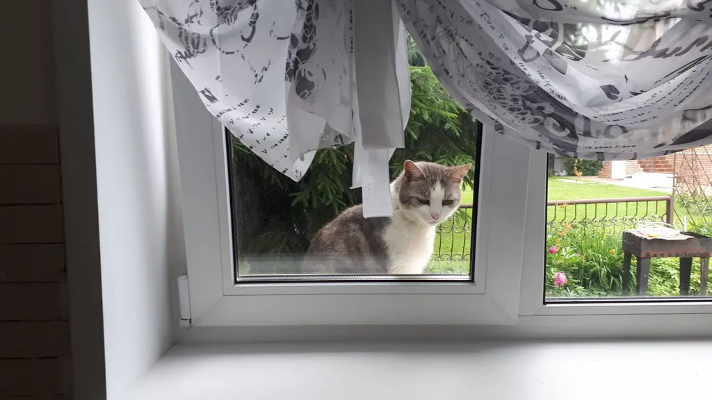 Дом с мангалом