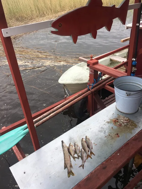 Современный дом на берегу Ладоги