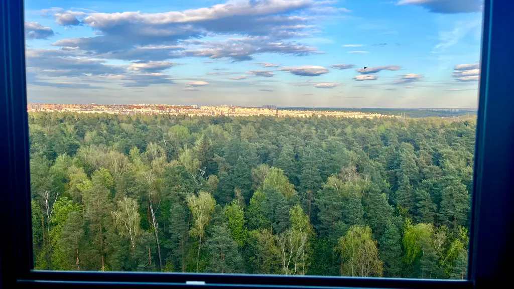 Квартира с видом на лес