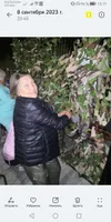 Ната