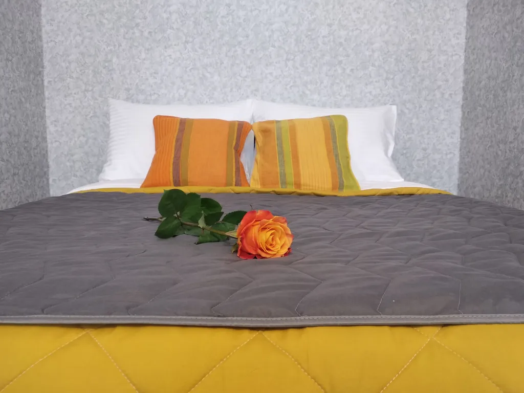 1-комнатная Квартира — аренда посуточно в Парголово