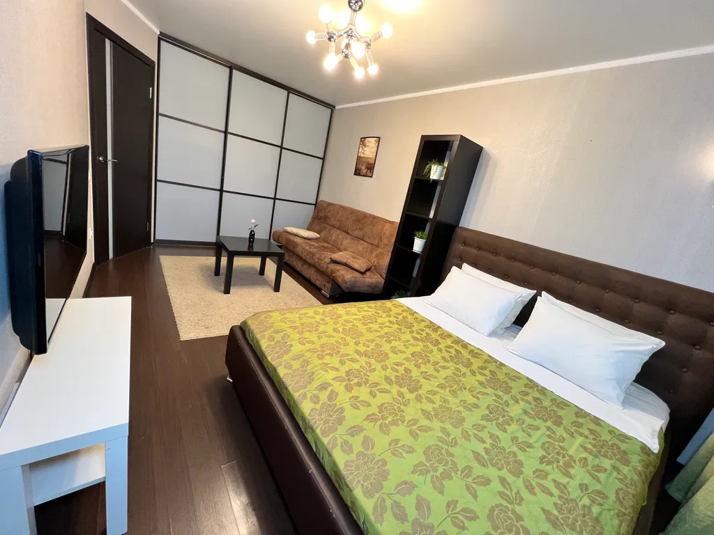 1-комнатная квартира в деловом и историческом центре города с новогодней елкой