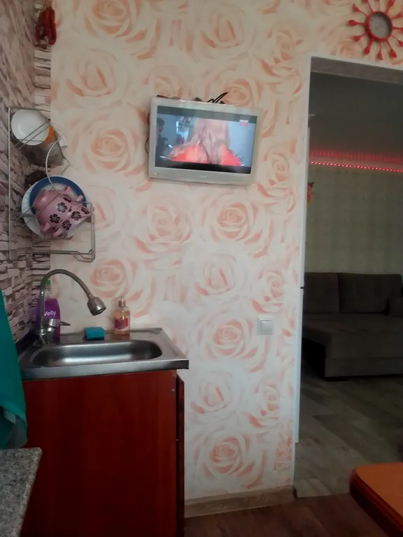 Уютная однокомнатная квартира с домашней обстановкой