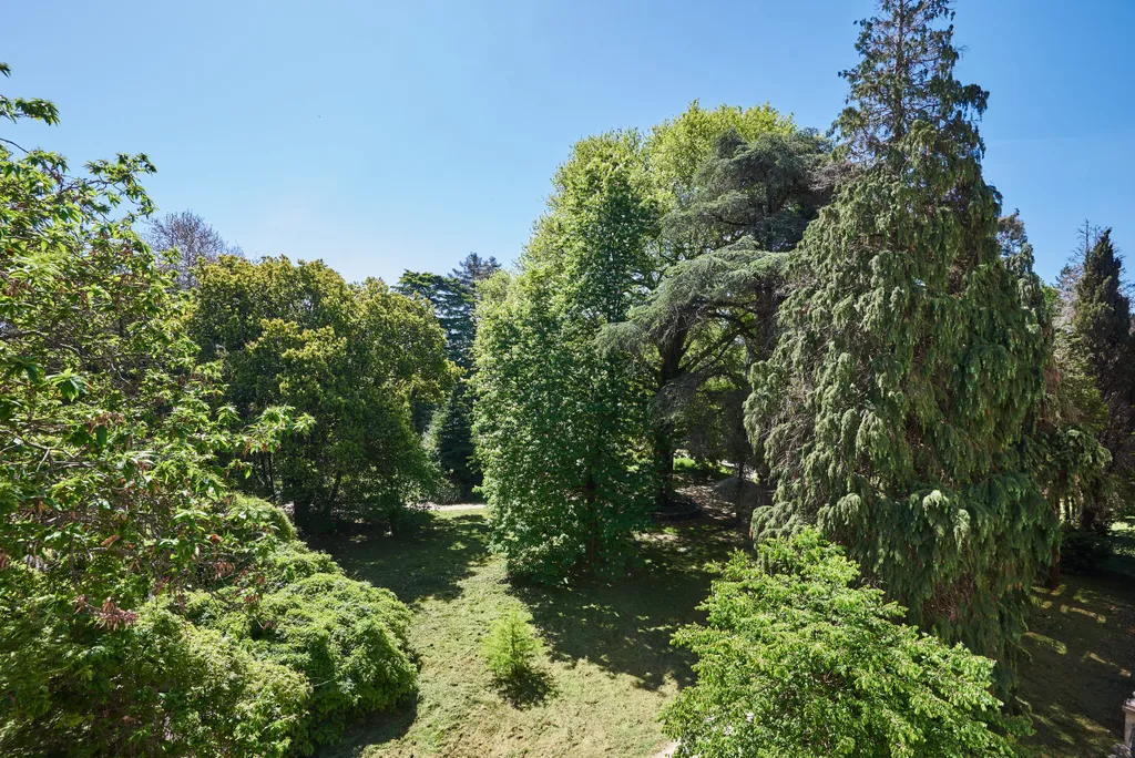 Квартира Квартира Фиолетовый рассвет — Сириус