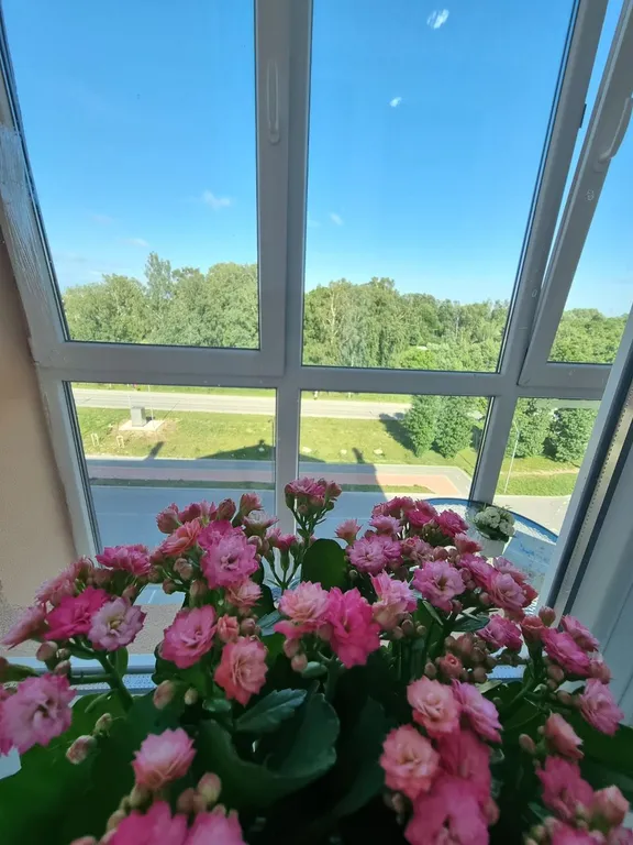 Квартира Умная и уютная квартира — Пионерский