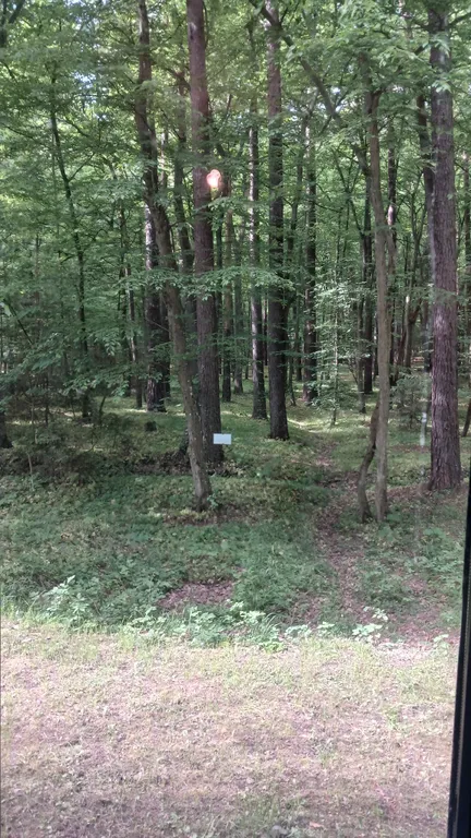 Квартира Супер-апартаменты Морской бриз на 1 линии у моря в сосновом бору — Светлогорск