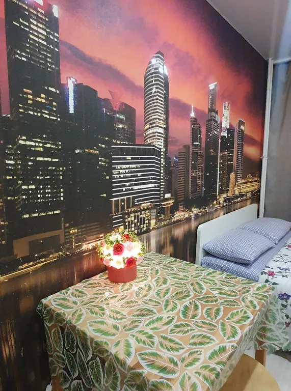 Уютная студия Мегаполис с большими окнами и плотными шторами