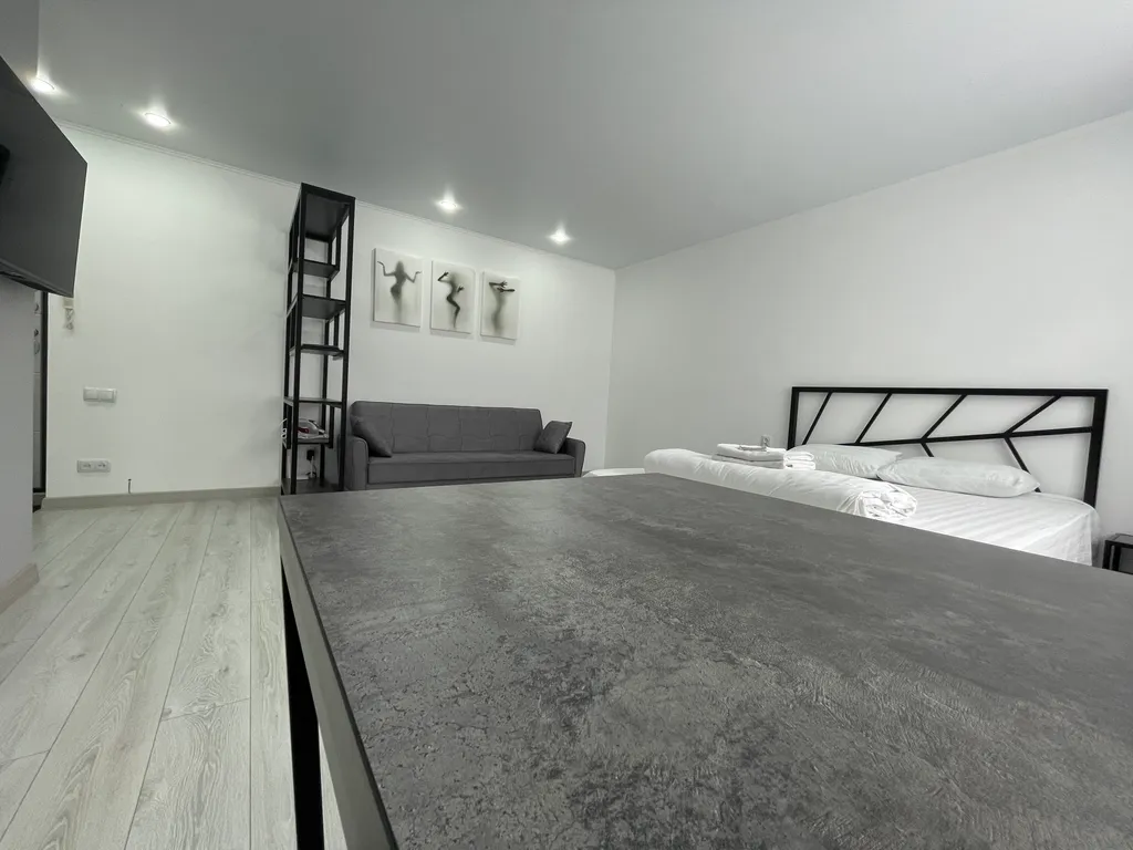 1-комнатаня квартира рядом с центральным парком