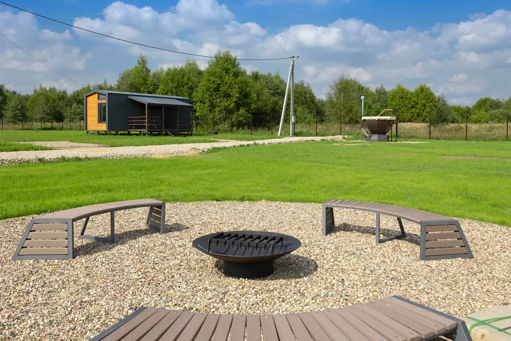 Виноградная лоза