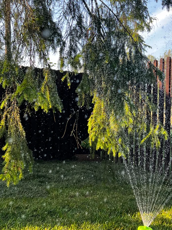 Просторный дом с камином в сосновом лесу