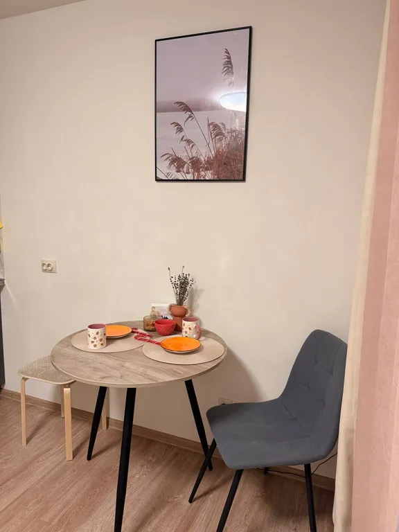 Уютная студия Рощинская 26 с видом на пруд