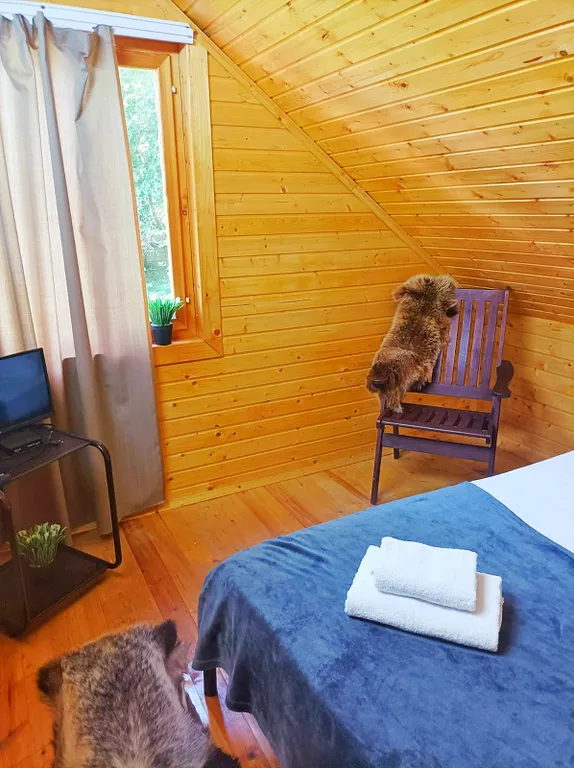 Домик в лесу с собственной баней