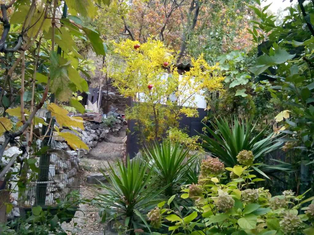 Аппартамент с видом на море