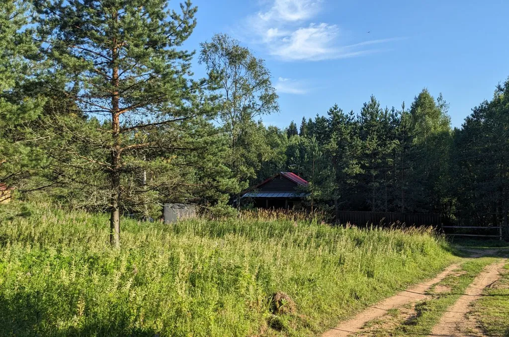 Домик в деревне