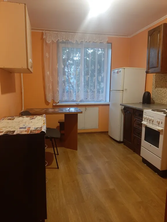 Квартира в центре города у Нижнего пруда - исторический центр