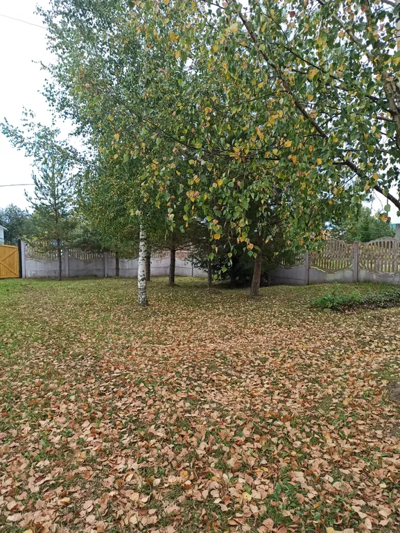 Гостевой дом с большой территорией