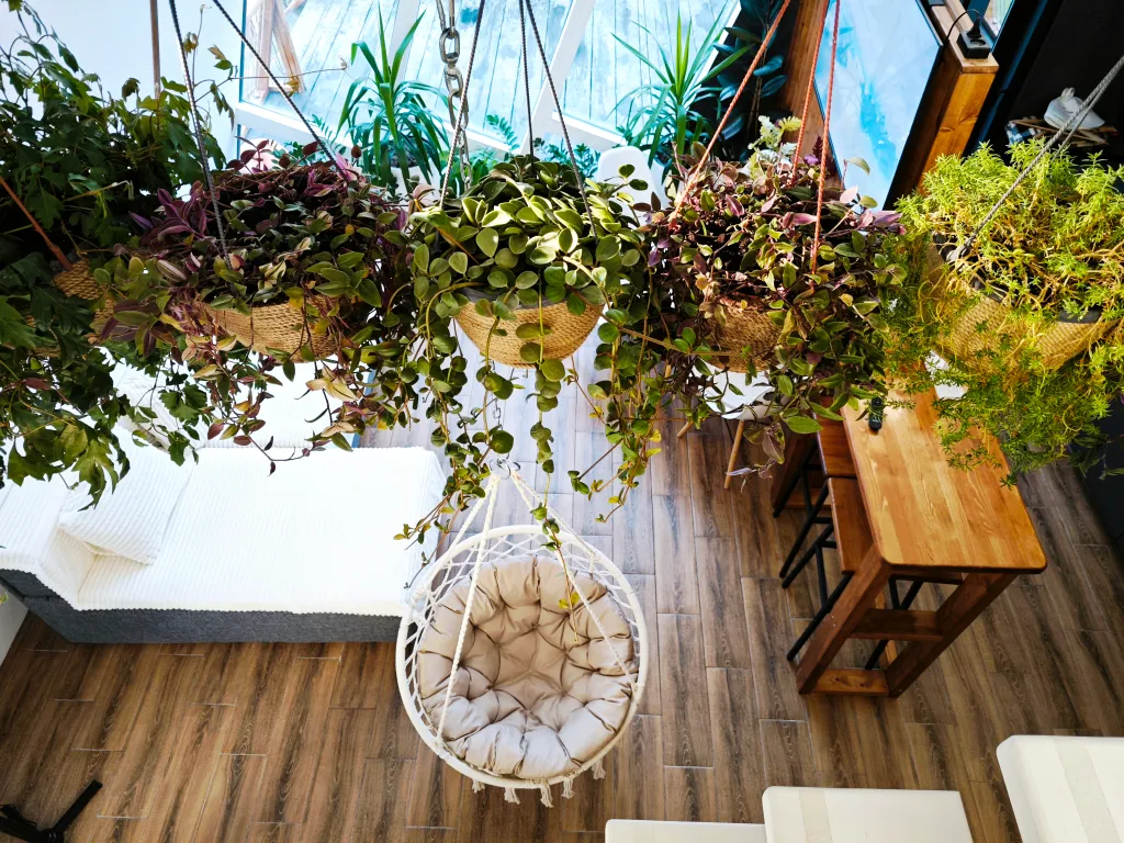 Треугольный дом Lis-A-dom с видом на реку