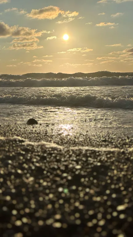 Квартира 1-комнатная Квартира — Зеленоградск