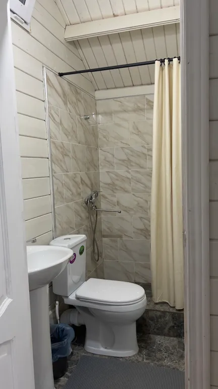 Уютный коттедж Теодор