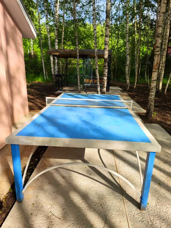 Коттедж Коттедж В гостях у леса 2 — Шаховская