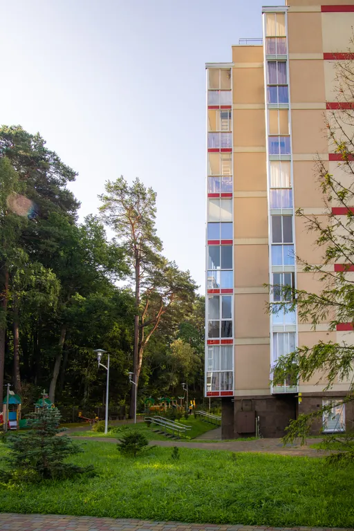 Студия с видом на сосновый лес