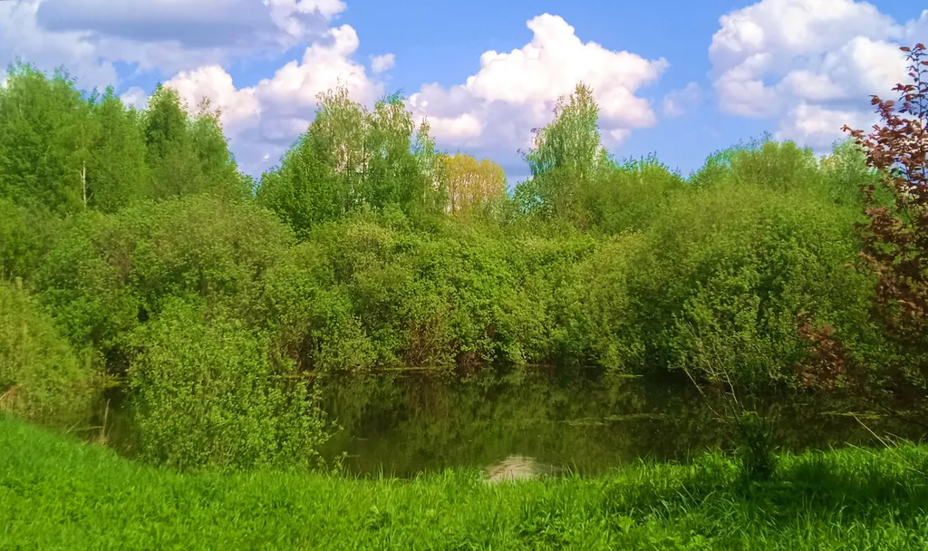 Уютный домик с русской банькой