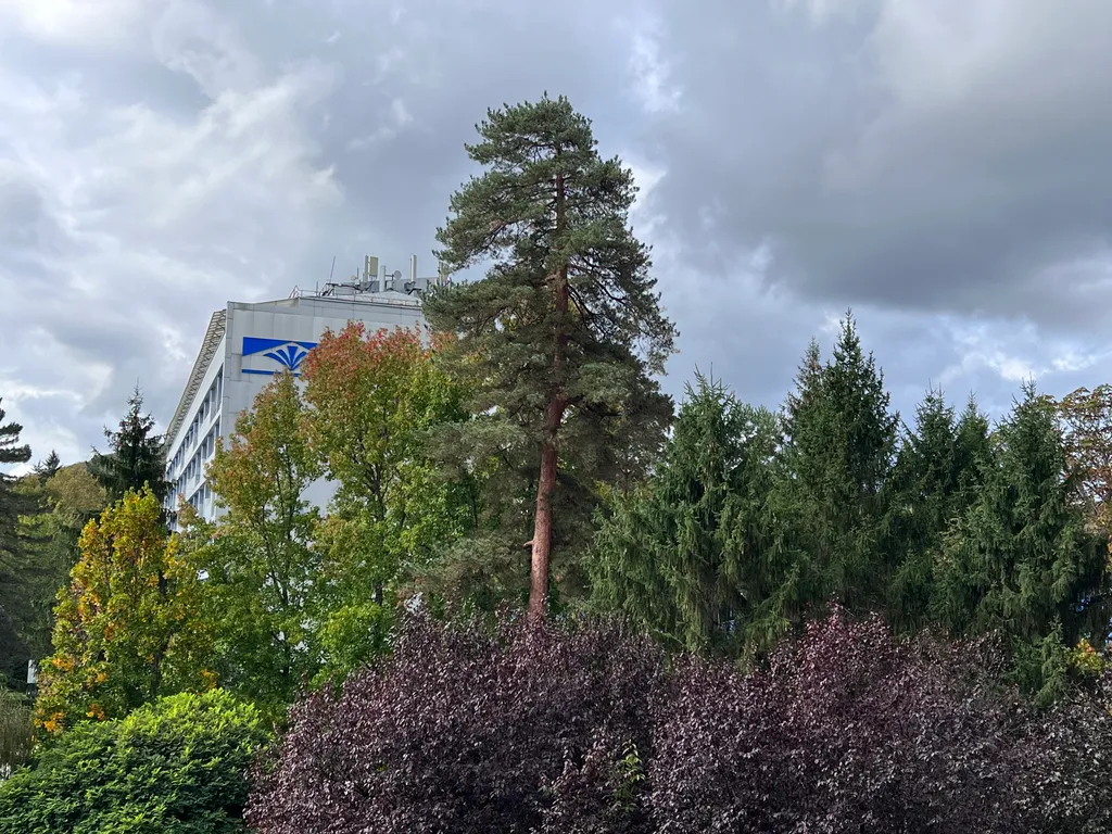 Квартира 3-х комнатная квартира в курортном парке — Горячий Ключ