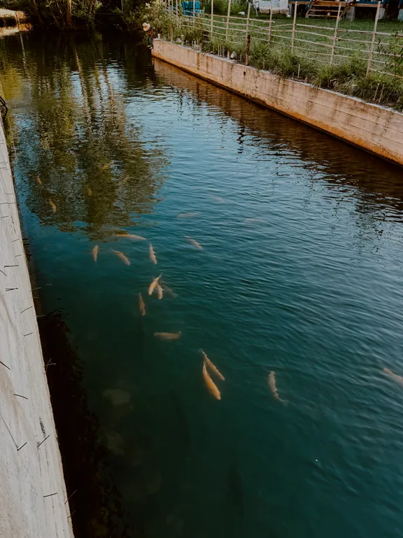 Коттедж Домик с видом на горы — Гагра