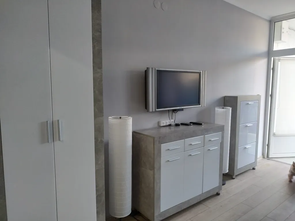 Уютные апартаменты с кухней