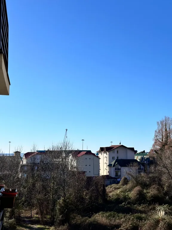 Квартира Уютная квартира у Парка Южных Культур — Сириус